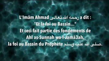 La forme du Bassin du Prophète –  Sheikh Ali Moussa