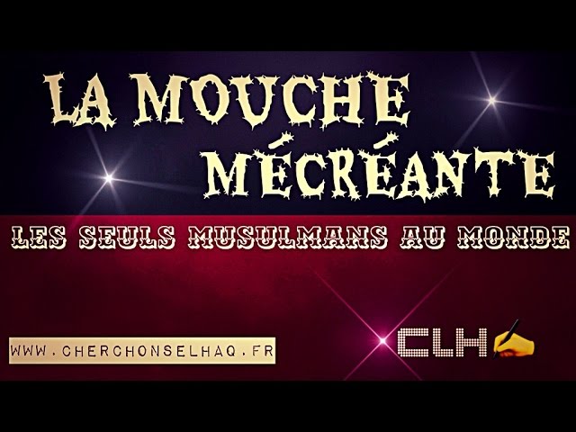 LA MOUCHE MÉCRÉANTE.