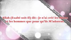 La récompense quAllah promet à ceux qui patientent et accomplissent des bonnes œuvres