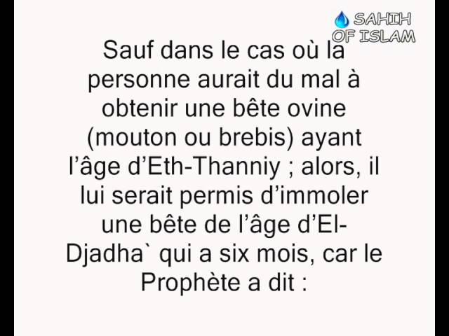 Lâge légal de la bête destinée au sacrifice de lAïd -Cheikh Mohamed Ali Ferkous-