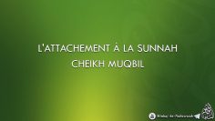 LATTACHEMENT À LA SUNNAH – CHEIKH MUQBIL