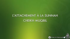 LATTACHEMENT À LA SUNNAH – CHEIKH MUQBIL