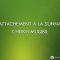 LATTACHEMENT À LA SUNNAH – CHEIKH MUQBIL