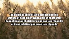 Lattitude légitime à adopter face au film qui est une insulte à la personne du Prophète