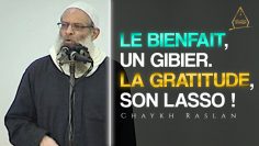 Le bienfait est un gibier, et la gratitude son lasso ! | Chaykh Raslan