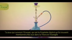 Le Jugement sur la Chicha en Islam? – Sheikh Mouhammad ibn Hadi