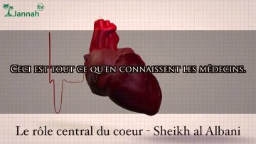 Le rôle central du coeur – Sheikh Albani
