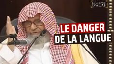Le Sabre et la Langue | Cheikh Fawzan