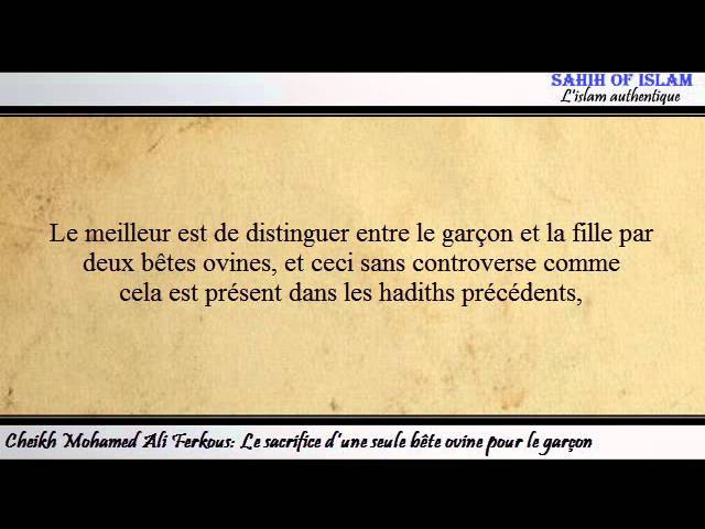 Le sacrifice d’une seule bête ovine pour le garçon -Cheikh Mohamed Ali Ferkous-