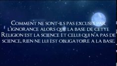 Le sujet de lexcuse en raison de lignorance nest amené que pour diviser les Gens de la Sunnah