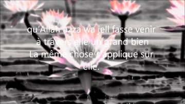 Le taux de divorce élevé dans la Oumma – Sheikh Al-Fawzan