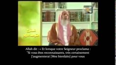 Les Alliés (Awliya), les Saints – Sheikh Abd Al Aziz Ali Sheikh