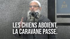 Les chiens aboient, la caravane passe | Chaykh Raslan