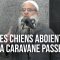 Les chiens aboient, la caravane passe | Chaykh Raslan