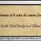 Les femmes et le suivi du convoi funèbre – Cheikh Abdelmouhsine al Abbâd
