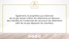 « Les gens aujourdhui ont honte de lapparence du Prophète ‎ﷺ » – Sheikh Muhammad Said Raslan