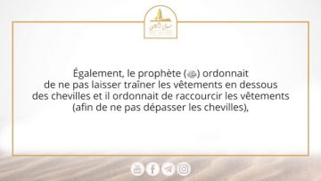 « Les gens aujourdhui ont honte de lapparence du Prophète ‎ﷺ » – Sheikh Muhammad Said Raslan
