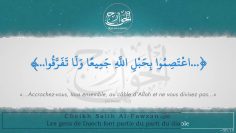 Les gens de Daech font partie du parti du diable – Sheikh Al Fawzan