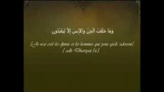 Les quatre règles – Al Qawaid Al-Arbaa