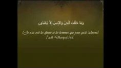 Les quatre règles – Al Qawaid Al-Arbaa