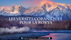 Les versets coranique pour la Roqya par Yasser Al-Dossari