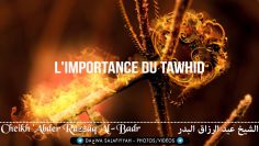 LImportance du Tawhid – Cheikh Abder Razzaq Al-Badr