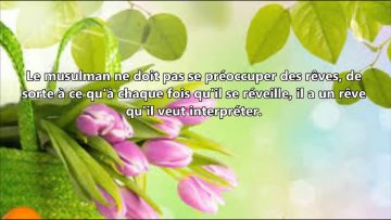 Livres d`interpretation des rêves – Sheikh Al Fawzan