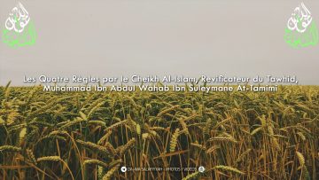 Matn : Les Quatres Règles | متن : القواعد الأربع