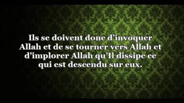 Message de Sheikh Mouhammad ibn Hadi à Dammaj