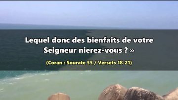 Miracle : le Coran et les deux mers à propager