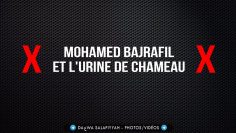 ❌ Mohamed Bajrafil et lurine de chameau ❌