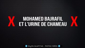 ❌ Mohamed Bajrafil et lurine de chameau ❌