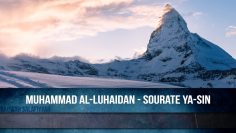 Muhammad Al-Luhaidan Sourate Ya-Sin | محمد اللحيدان – سورة يس