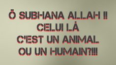 Ô SUBHANA ALLAH !! CELUI LÀ C’EST UN ANIMAL OU UN HUMAIN?!!!