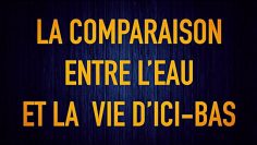 PARABOLES DANS LE NOBLE CORAN 3 :LA COMPARAISON ENTRE L’EAU ET LA  VIE D’ICI-BAS