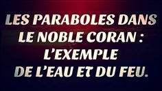 PARABOLES DANS LE NOBLE CORAN 5 : L’EXEMPLE DE L’EAU ET DU FEU.