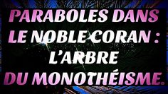 PARABOLES DANS LE NOBLE CORAN 6 : L’ARBRE DU MONOTHÉISME.