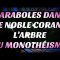 PARABOLES DANS LE NOBLE CORAN 6 : L’ARBRE DU MONOTHÉISME.