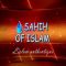 Passer le salam à celui qui fait la prière -Cheikh Sâlih al Fawzan-