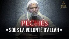 Péchés « sous la volonté d’Allah » | Chaykh Raslan