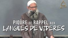 Piqûre de rappel aux langues de vipères ! | Chaykh Raslan