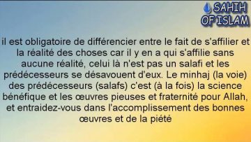 Pourquoi les salafis sont-ils critiqués et accusés -Cheikh Sâlah ibn Fawzan-