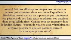 Moyen n°13/20: Couper court aux causes des péchés -Cheikh AbderRazzaq al Badr