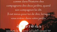 Quand et comment utiliser lexpression : Ma sha Allah ? – Sheikh Al-Utheimine