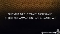 Que veut dire le terme  » saafiqah  » – Cheikh Muhammad Bin Hadi Al-Madkhali