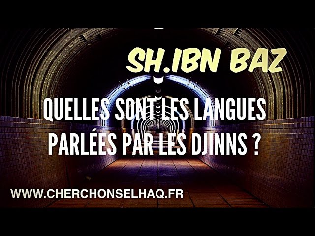 QUELLES SONT LES LANGUES PARLÉES PAR LES DJINNS ?