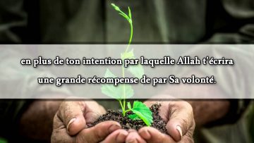 Quelles sont les oeuvres à accomplir en ces jours pour celui qui ne fait pas le Hajj ?
