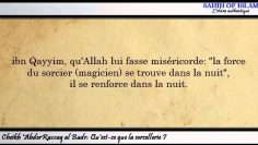 Quest ce que la sorcellerie ? -Cheikh AbderRazzaq al Badr-