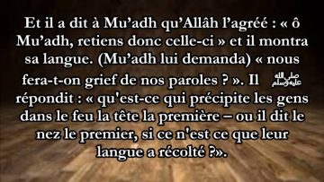 Réflechis avant de parler et dagir – Sheikh ibn Baz