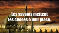 Retournez aux Savants (Ulemas) – Sheikh Muqbil